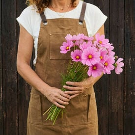 Radiance, Cosmo Seeds